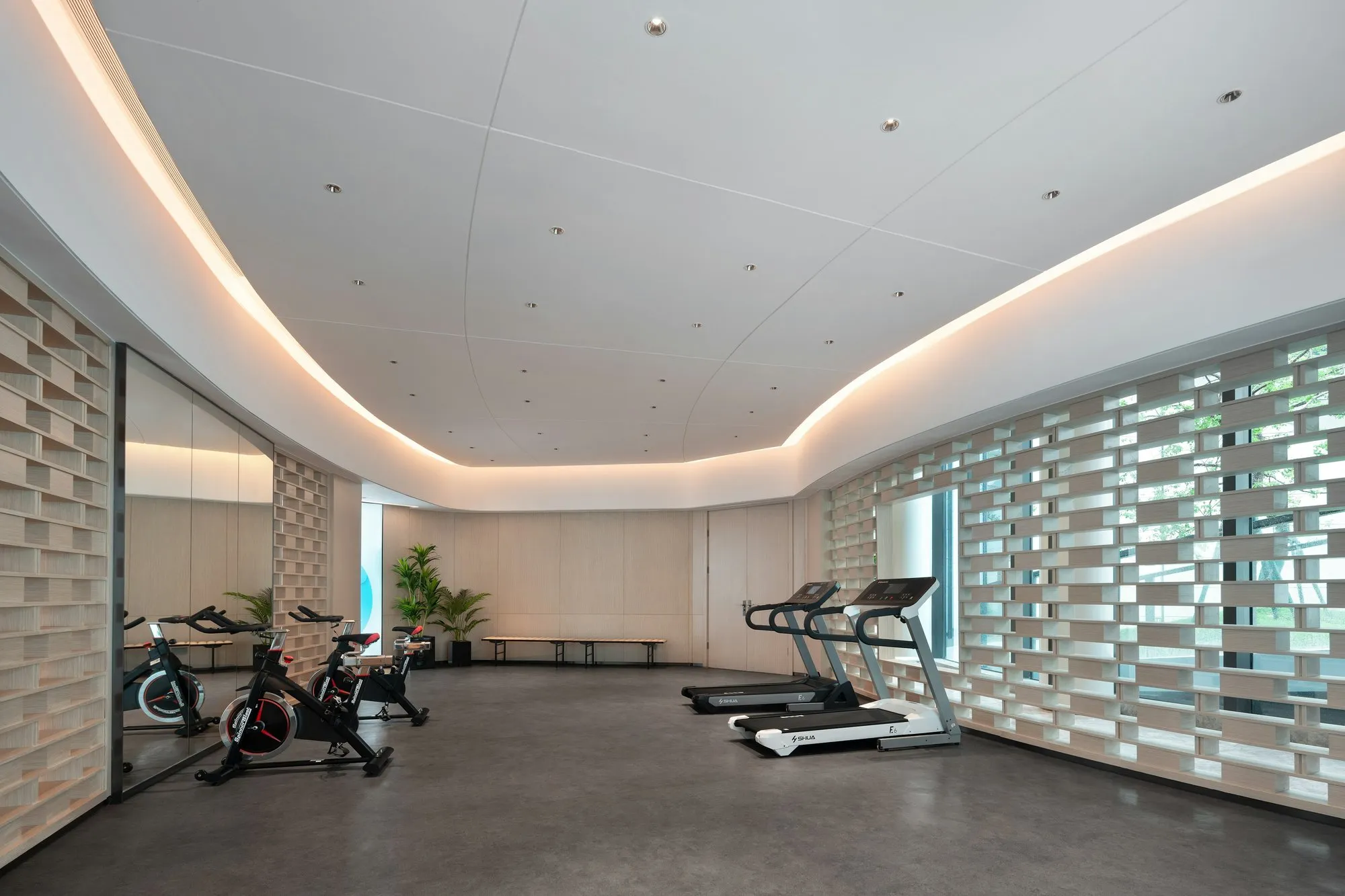 Boutique fitness studio with a curved lit ceiling and equipment on a rubber floor