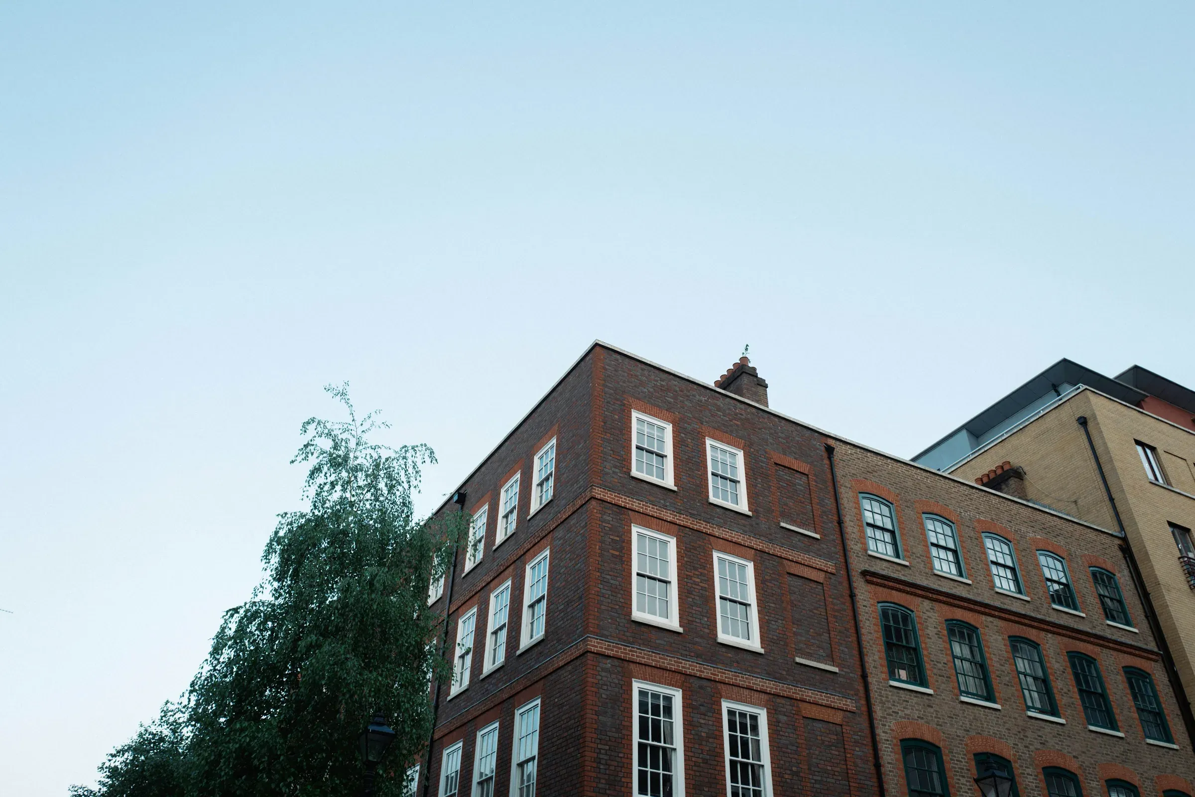 Georgian brick corner building with white sash windows beside a tree in a London conservation area