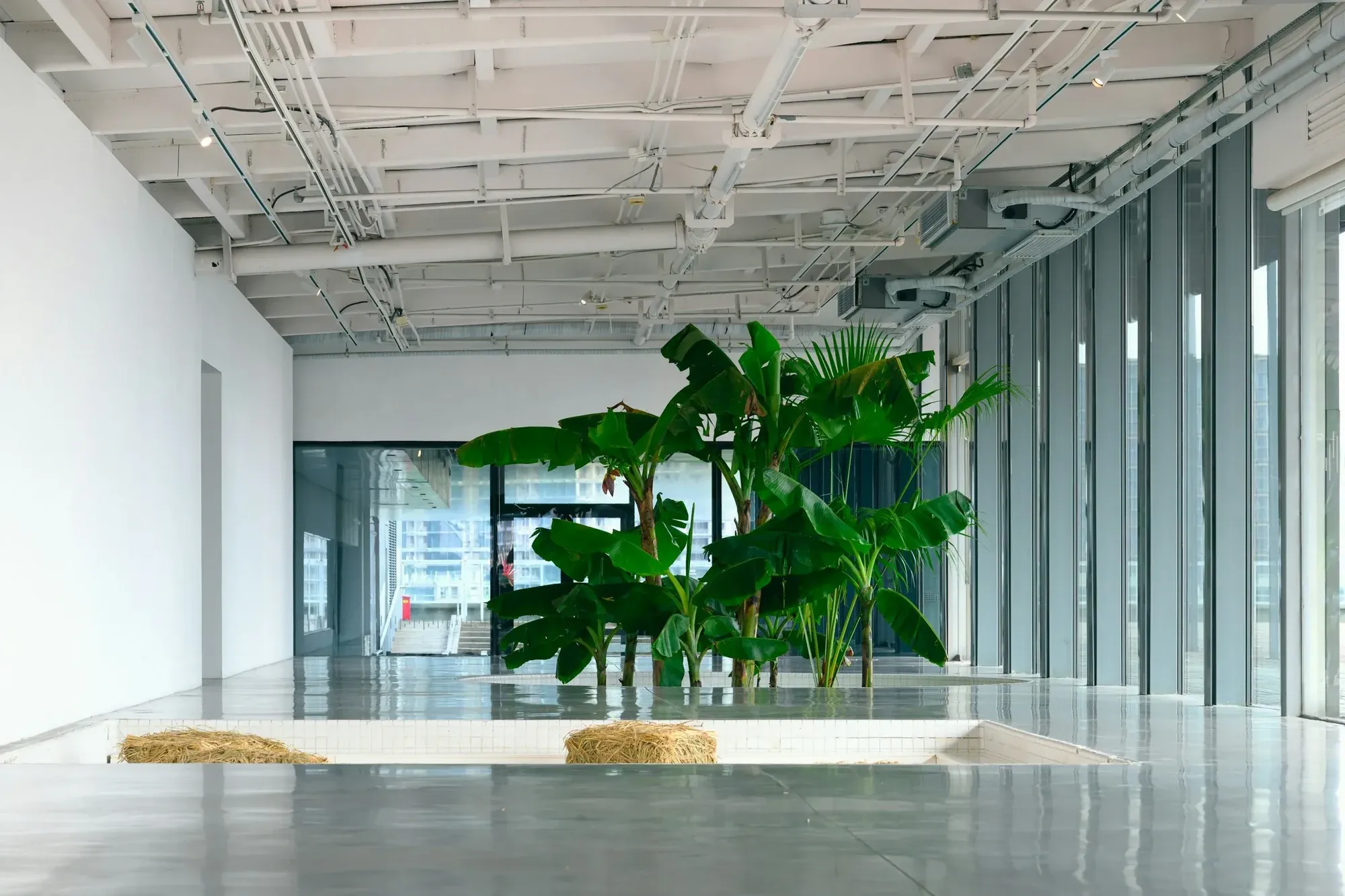 Open floor with full-height glazing, exposed ceiling services and a polished concrete floor