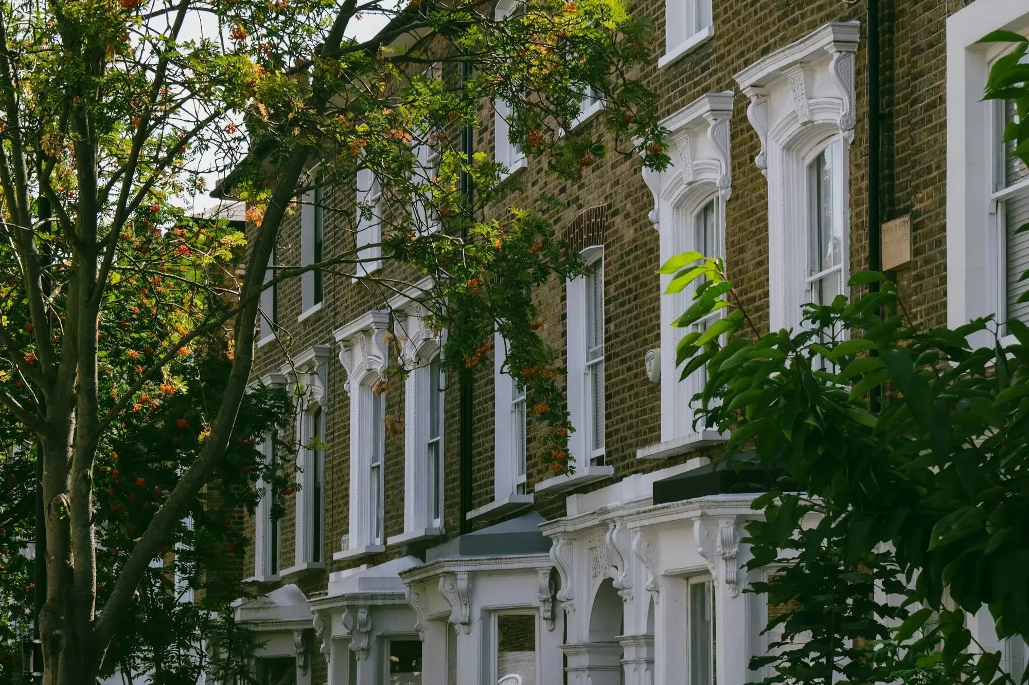 Victorian terraced houses with bay windows on a tree-lined London street