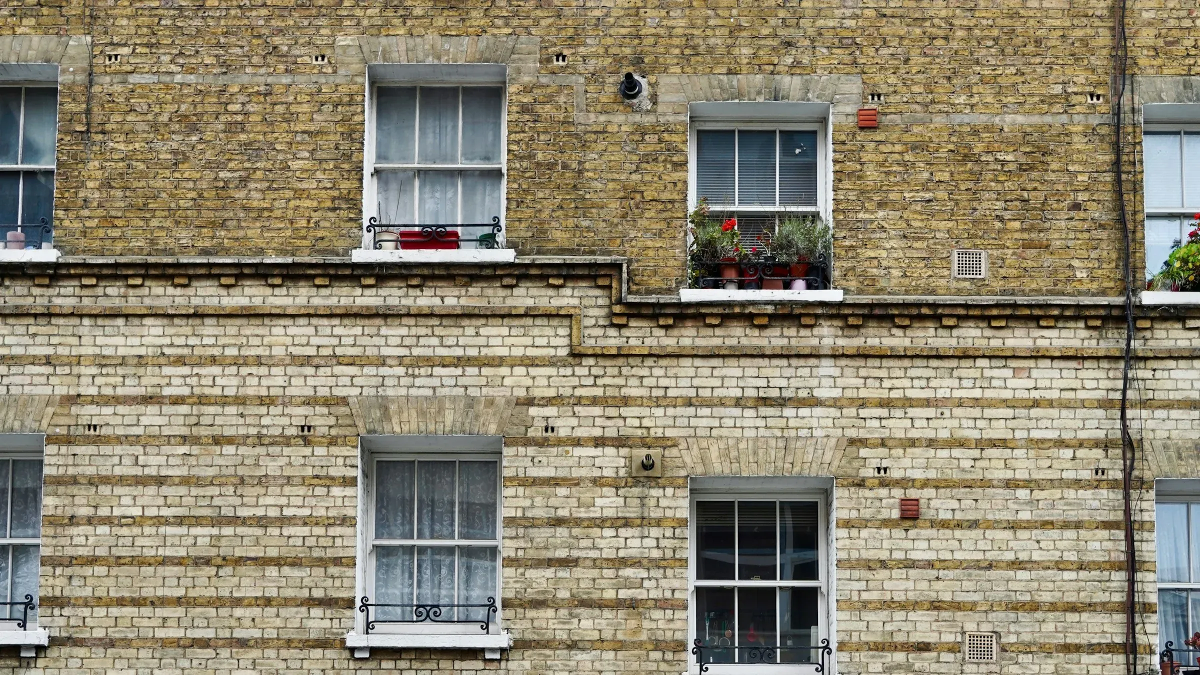 Yellow London stock brick block of flats with sash windows, window boxes and potted plants on the sills