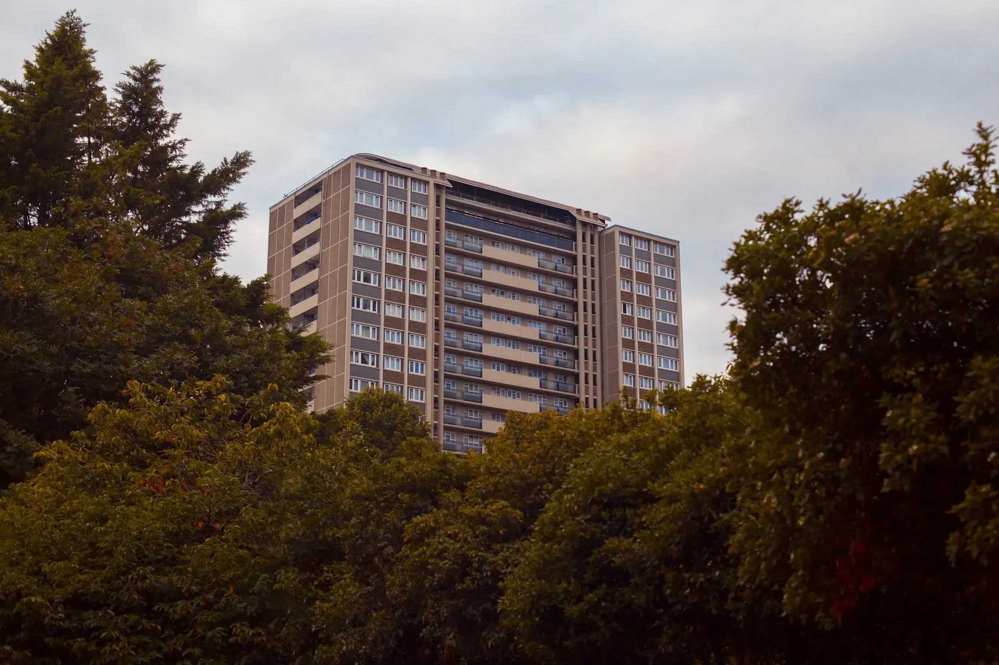 Residential tower block rising above trees in London
