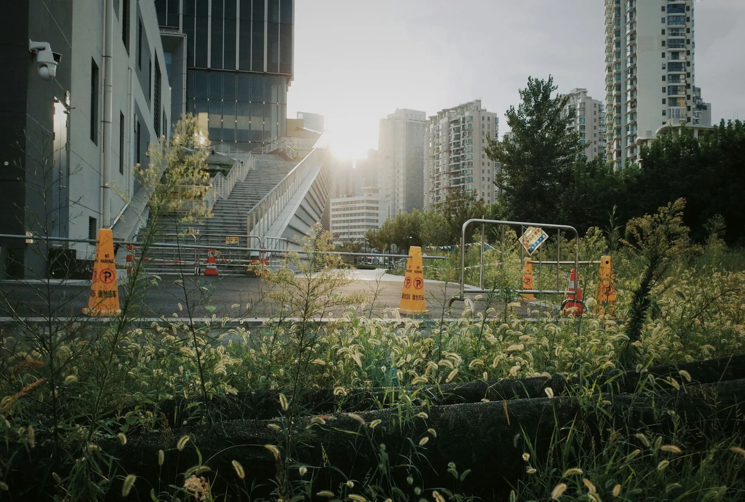 Overgrown fenced construction site with traffic cones beneath tall city buildings