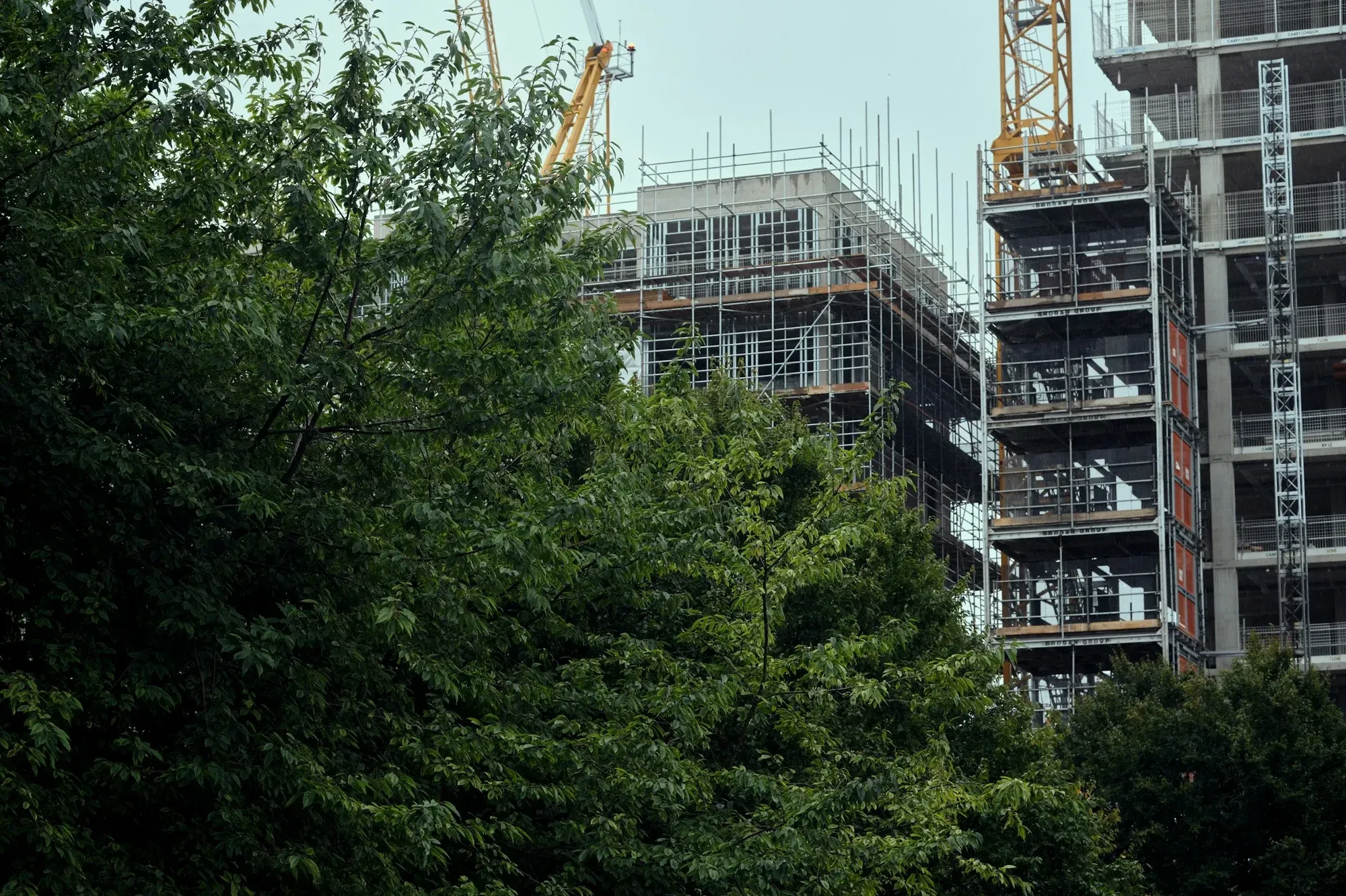 Residential blocks under construction behind trees, with tower cranes above